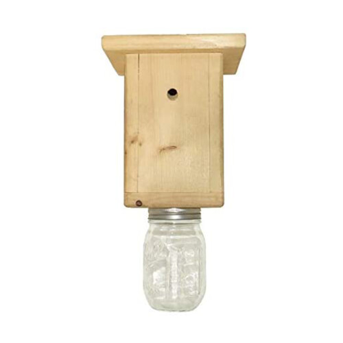 CarpenterBeeTrap: CatchAndRelease Carpenter Bee Trap For Outdoor Protection