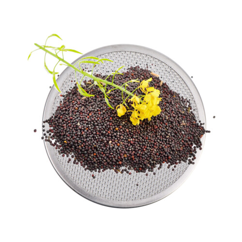 15Pcs Rustproof Stainless Steel Sprouting Strainer Lids for Mason Jars