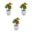 3Pz Artificiale A Frutta Rossa in PVC Per Decorazione 7