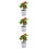 3Pz Artificiale A Frutta Rossa in PVC Per Decorazione 3