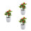 3Pz Artificiale A Frutta Rossa in PVC Per Decorazione 6