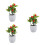 3Pz Artificiale A Frutta Rossa in PVC Per Decorazione 4