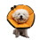Soft Cone Collar For Cats Prevent Licking Multiple-Gray XXXL 3