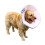 Soft Cone Collar For Cats Prevent Licking Multiple-Gray XXXL 4