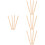16Pz in Legno Beige Per Apicoltura 8