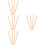16Pz in Legno Beige Per Apicoltura 9