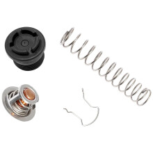 Thermal Regulator Kit For 400 SR200 SR333 SR400 77707-0010 Pool