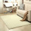 Shaggy Super Soft Rug, κομψό χαλί διακόσμησης σπιτιού με φωτεινά χρώματα και πολυτελή 1