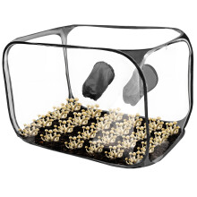 Chambre de croissance fermée et pliable avec environnement-Noir
