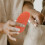 6Pcs Silicone Tools Red Soft Clay Sheets for DIY Pottery Art 10
