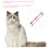 4Pz Gatto Cotone Regolabili Con Fiocco E Campanello 6