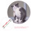 4Pz Gatto Cotone Regolabili Con Fiocco E Campanello 10