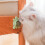 Παιχνίδια με μπάλες Catnip, φυσικό Catnip για εσωτερική ψυχαγωγία γάτας, υγιεινές 4