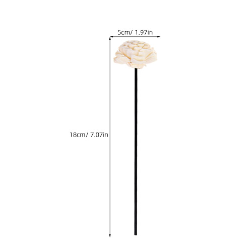 20St Diffuser Stokjes Rattan Met Design Voor Decoratie 1