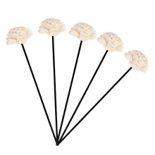 20St Diffuser Stokjes Rattan Met Design Voor Decoratie