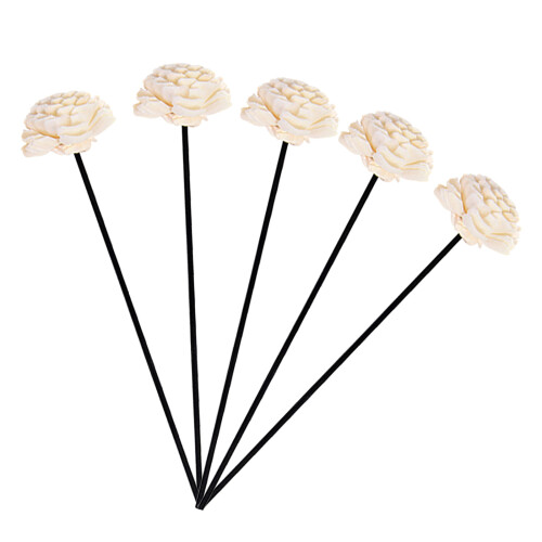 20St Diffuser Stokjes Rattan Met Design Voor Decoratie