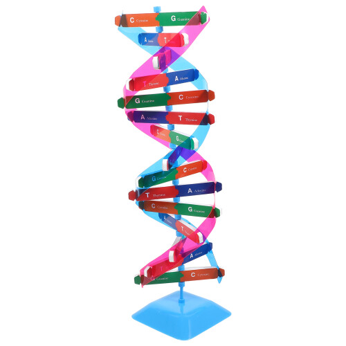 4Conjuntos Dna Científico Metal Para E Montagem 1