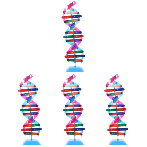 4Conjuntos Dna Científico Metal Para E Montagem 2