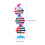 4Conjuntos Dna Científico Metal Para E Montagem 10