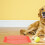 Pet Oorbeschermer Mesh Ademend Muggenwerend 5