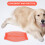 Pet Oorbeschermer Mesh Ademend Muggenwerend 8