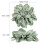 4Stk Vorhangbinder Aus Peony Anzubringen 4