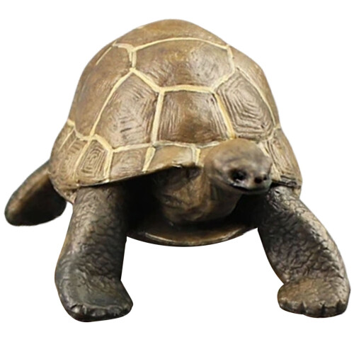 5Pz Statue Tartaruga Artificiali Marrone Educativi Per Bambini 1