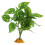 2Pz Erba Verde Decorativa Per Terrari E Acquari in ABS 1