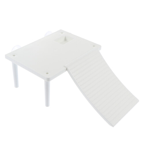 2Pz Piattaforma Bianca Per Tartaruga Stabile Per Rettili E Acquari 1