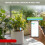 Bluetooth Bodenfeuchtigkeits- und Temperatursensor, -10 bis 60C 9