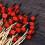 200Pcs Bamboo Fruit Picks Red Cocktail Sticks for Party Appetizers 2