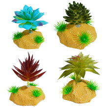 Aquariums Reptiles Succulents Grass Terrarium Plant Fish-C