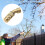 Easy Install Brass Garden Sprayers With Regulable Flows For Home 4