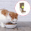 Hanging Automatic Water Dispenser Feeder for Small Pet 800ml-B 6