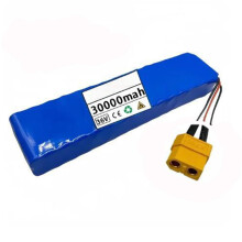 36V 30AH Electric Bicycle Lithium Ion Battery Pack For 500W 300W 100W Motors With Protection Board And Charger 36V XT60