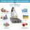 Sturdy Under Bed Storage Bin, Breathable Material, Reinforced Handle, Clear Top, Fold Away, Optimized Space, Non-woven Polypropylene, Large 5