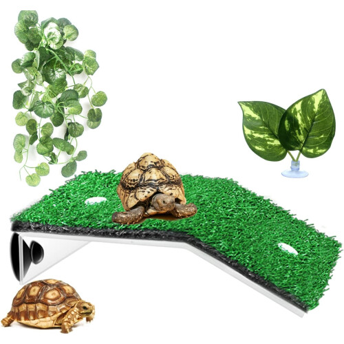 Nature's Playground: Πολυλειτουργική πλωτή διακόσμηση για λείανση νυχιών κατοικίδιων,