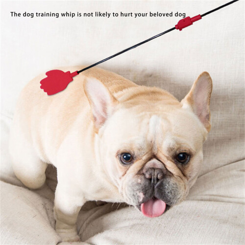 Portable Dog Training Stick Training Handle For Indoor Outdoor 1