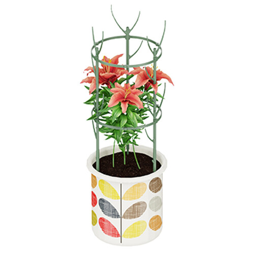 Plant Climbing Frame Support For Outdoor Garden Support-03 2