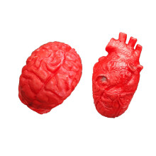 Realistisch anatomisch hart hersenen stressverlichting-Stijl A