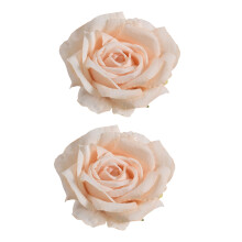 2Pieces Floral Curtain Tie Backs Adjustment Fabric Clips For-18