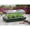 Mini-serre rigide - NATURE - Couvercle ventilé - H18x37x24 cm - Vert 1