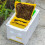 Bee Hive Box Queen Bee Breeding Box For Mating Nucs Foam Frames Beekeeping Tool Queen Mating Boxes 3