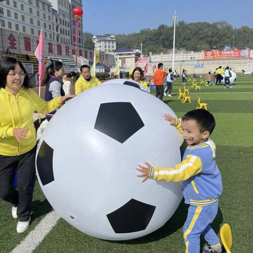 Großer bunter-Farbiger Ball M 1