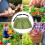Ergonomic Gardening Tool Apron Breathables Canvas-Green 3