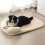 MultIfunctional Pet Cool  Pad Bed Machine Washable-Gray L 7
