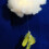 Cloud Nine Décor, Διακόσμηση από Συνθετικές Ινες για Ιδιόμορφους Εσωτερικούς Χώρους, 1