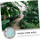 Reusable Turtle Stepping Stone Mold for DIY Garden Path and Walkway Cement Paving 3