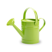Arrosoir en fer de 1,5 l, petit arrosoir de jardin avec-Vert