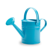 Arrosoir pour plantes d'intérieur, petit arrosoir pour-Bleu